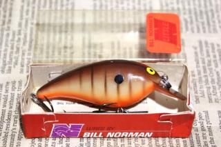 <img class='new_mark_img1' src='https://img.shop-pro.jp/img/new/icons13.gif' style='border:none;display:inline;margin:0px;padding:0px;width:auto;' />Bill Norman Little N