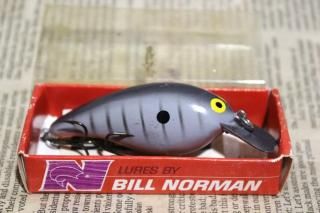 <img class='new_mark_img1' src='https://img.shop-pro.jp/img/new/icons13.gif' style='border:none;display:inline;margin:0px;padding:0px;width:auto;' />Bill Norman Little N
