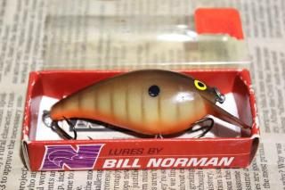 <img class='new_mark_img1' src='https://img.shop-pro.jp/img/new/icons13.gif' style='border:none;display:inline;margin:0px;padding:0px;width:auto;' />Bill Norman Little N