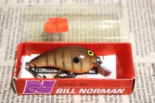 <img class='new_mark_img1' src='https://img.shop-pro.jp/img/new/icons13.gif' style='border:none;display:inline;margin:0px;padding:0px;width:auto;' />Bill Norman Baby N