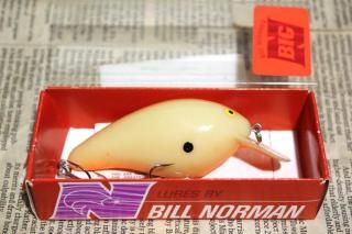 <img class='new_mark_img1' src='https://img.shop-pro.jp/img/new/icons13.gif' style='border:none;display:inline;margin:0px;padding:0px;width:auto;' />BILL Norman Big-N