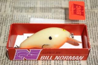 <img class='new_mark_img1' src='https://img.shop-pro.jp/img/new/icons13.gif' style='border:none;display:inline;margin:0px;padding:0px;width:auto;' />BILL Norman Big-N
