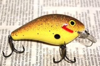 <img class='new_mark_img1' src='https://img.shop-pro.jp/img/new/icons13.gif' style='border:none;display:inline;margin:0px;padding:0px;width:auto;' />COTTON CORDELL BIG-O
