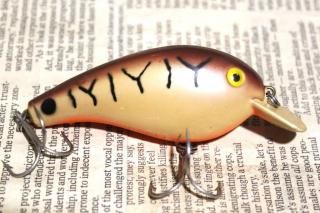 <img class='new_mark_img1' src='https://img.shop-pro.jp/img/new/icons13.gif' style='border:none;display:inline;margin:0px;padding:0px;width:auto;' />COTTON CORDELL BIG-O