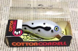 <img class='new_mark_img1' src='https://img.shop-pro.jp/img/new/icons13.gif' style='border:none;display:inline;margin:0px;padding:0px;width:auto;' />COTTON CORDELL BIG-O