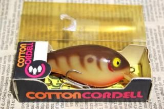 カープヘッド 生産数量限定！スピングル（SPINGLE） ゴルフスニーカー(ミッド