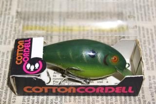 <img class='new_mark_img1' src='https://img.shop-pro.jp/img/new/icons13.gif' style='border:none;display:inline;margin:0px;padding:0px;width:auto;' />COTTON CORDELL BIG-O