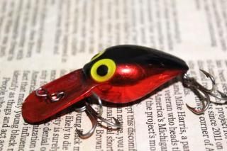 <img class='new_mark_img1' src='https://img.shop-pro.jp/img/new/icons13.gif' style='border:none;display:inline;margin:0px;padding:0px;width:auto;' />STORM WEE WART