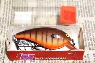 <img class='new_mark_img1' src='https://img.shop-pro.jp/img/new/icons13.gif' style='border:none;display:inline;margin:0px;padding:0px;width:auto;' />Bill Norman Little N
