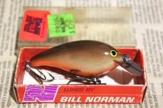 <img class='new_mark_img1' src='https://img.shop-pro.jp/img/new/icons13.gif' style='border:none;display:inline;margin:0px;padding:0px;width:auto;' />Bill Norman Little N