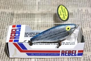 <img class='new_mark_img1' src='https://img.shop-pro.jp/img/new/icons13.gif' style='border:none;display:inline;margin:0px;padding:0px;width:auto;' />REBEL RACKET SHAD [FLOATER]