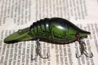 <img class='new_mark_img1' src='https://img.shop-pro.jp/img/new/icons13.gif' style='border:none;display:inline;margin:0px;padding:0px;width:auto;' />MANN'S CRAWDAD