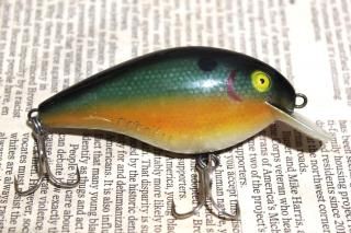 <img class='new_mark_img1' src='https://img.shop-pro.jp/img/new/icons13.gif' style='border:none;display:inline;margin:0px;padding:0px;width:auto;' />COTTON CORDELL BIG-O