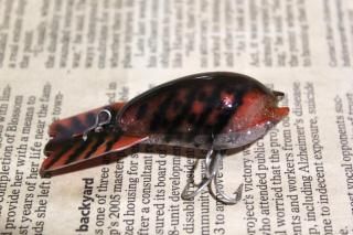 <img class='new_mark_img1' src='https://img.shop-pro.jp/img/new/icons13.gif' style='border:none;display:inline;margin:0px;padding:0px;width:auto;' />FRED ARBOGAST MUD BUG