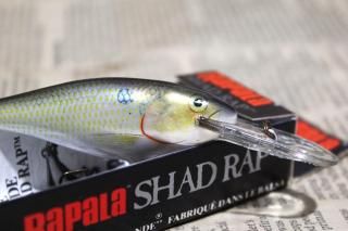 <img class='new_mark_img1' src='https://img.shop-pro.jp/img/new/icons13.gif' style='border:none;display:inline;margin:0px;padding:0px;width:auto;' />RAPALA SHAD RAP