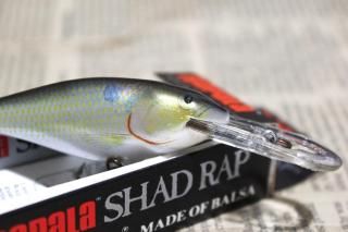 <img class='new_mark_img1' src='https://img.shop-pro.jp/img/new/icons13.gif' style='border:none;display:inline;margin:0px;padding:0px;width:auto;' />RAPALA SHAD RAP