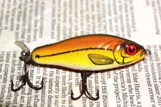 <img class='new_mark_img1' src='https://img.shop-pro.jp/img/new/icons13.gif' style='border:none;display:inline;margin:0px;padding:0px;width:auto;' />BOMBER RIP SHAD