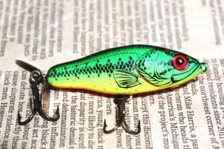 <img class='new_mark_img1' src='https://img.shop-pro.jp/img/new/icons13.gif' style='border:none;display:inline;margin:0px;padding:0px;width:auto;' />BOMBER RIP SHAD