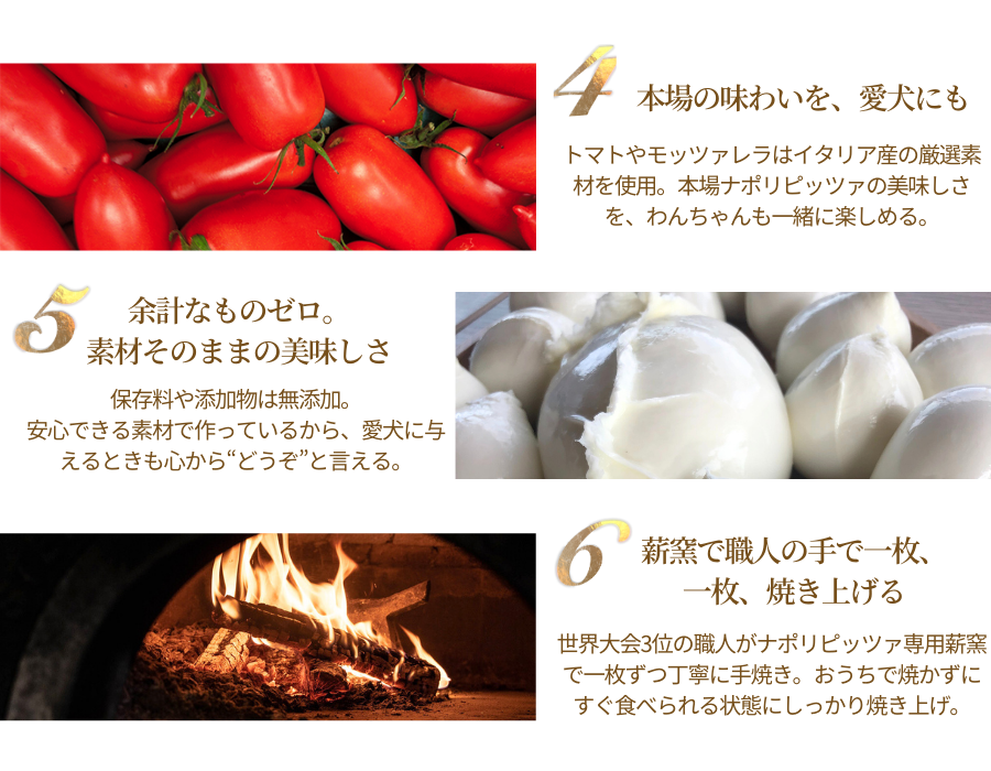 󤳥ޥ륲Τ4-6