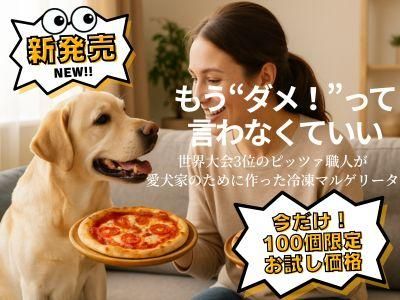 ѥޥ륲꡼ȯ