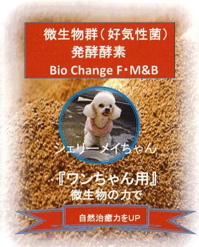 好気性菌性微生物群発酵酵素で自然治癒力UP　バイオチェンジＦ・M&B農作物/養鶏/ワンちゃん用