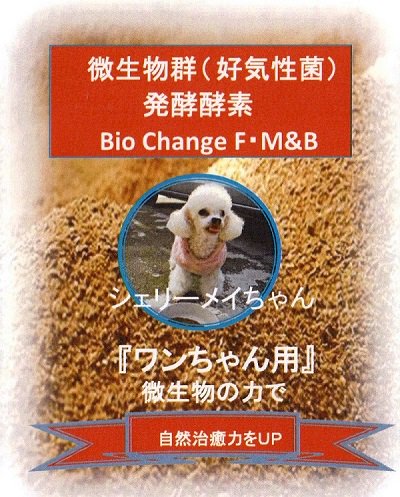 大麦と健康生活をサポートする仲間たち　腸活・菌活を応援するショップ oomugi.com