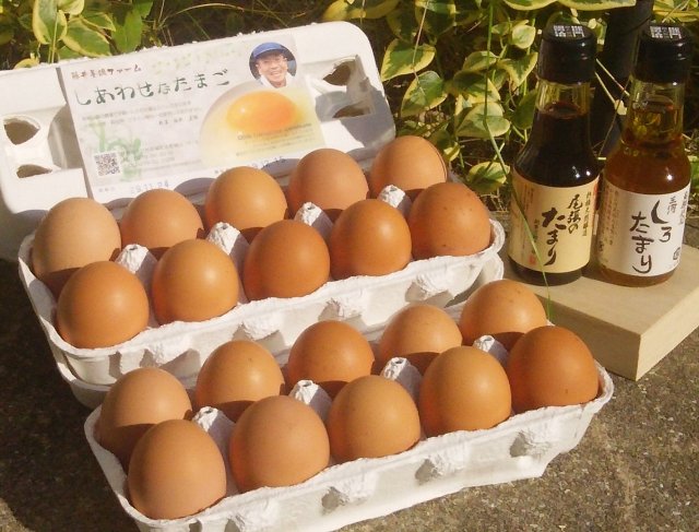 日本一安心安全な生臭くない藤井養鶏場の「しあわせなたまご」20個と醤油職人高橋万太郎 が選んだたまごかけご飯セット