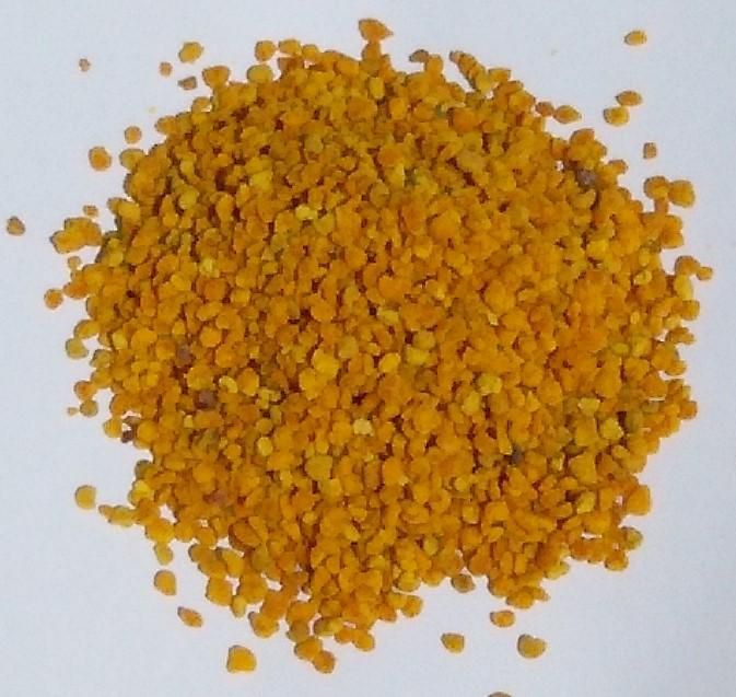 花粉 Pollen ポーレン 驚異の自然食品