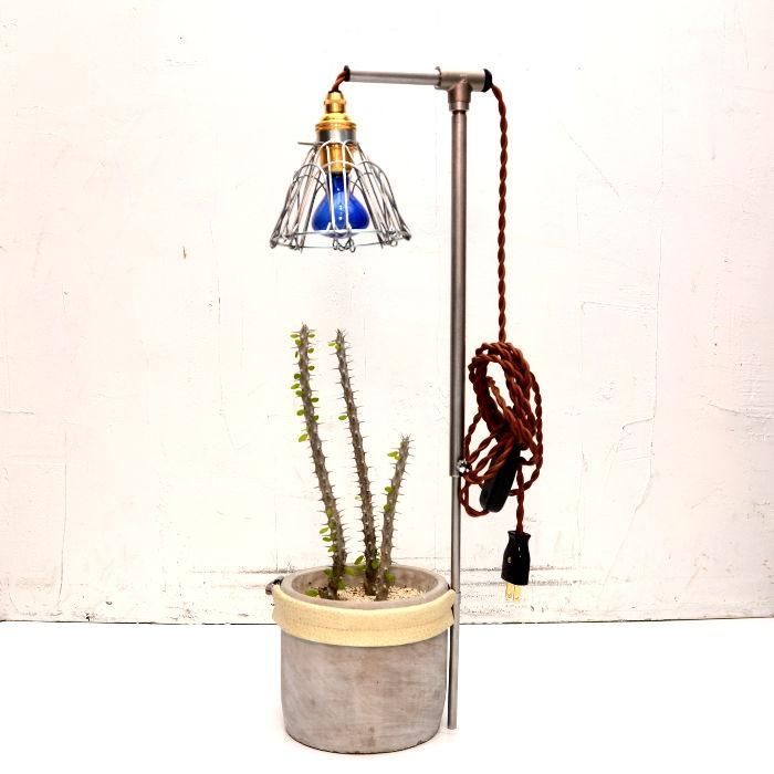 ED ROBERT JUDSON エドロバートジャドソン POT LAMP BARNES ED ROBERT JUDSON エドロバートジャドソン POT LAMP BARNES