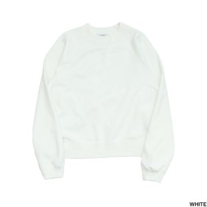 <img class='new_mark_img1' src='https://img.shop-pro.jp/img/new/icons1.gif' style='border:none;display:inline;margin:0px;padding:0px;width:auto;' />PHEENY フィーニー French terry raglan sleeve フレンチテリーラグランスリーブ PS23-CS03