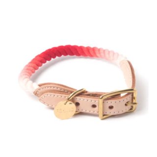 Coral Ombre Rope Cat & Dog Collar (롦֥졦סå & ɥå顼)