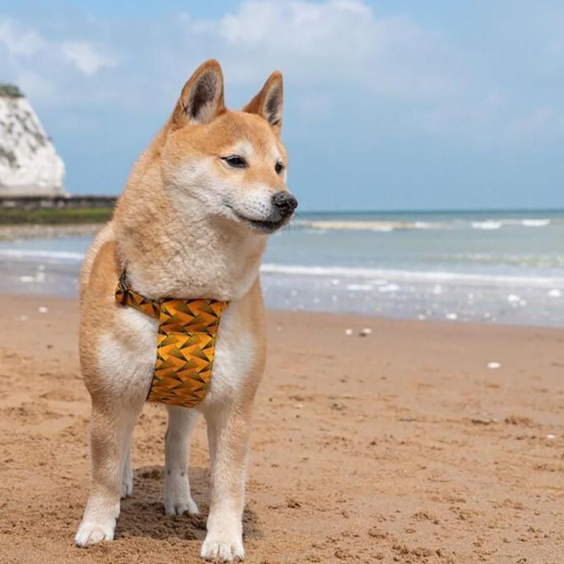 Fireworks DOG HARNESS (ファイヤーワークス・ドッグ・ハーネス