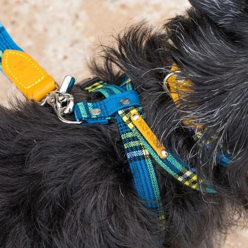 Shuka Blue DOG HARNESS (シュカ・ブルー・ドッグ・ハーネス