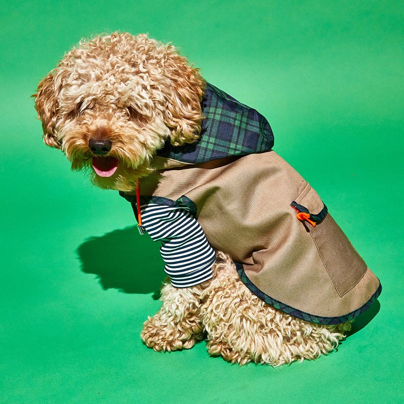 Tartan Plaid Trim Anorak Raincoat, Khaki (タータン・プレイド・トリム・アノラック・レインコート, カーキ)  - Tinypaw