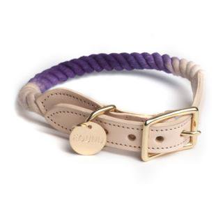 Purple Ombre Rope Cat & Dog Collar (ѡץ롦֥졦סå & ɥå顼)