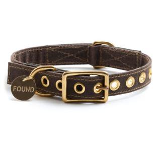 Brown Canvas Dog Collar (֥饦󡦥Хɥå顼)