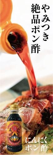 麺つゆ 楽天市場】キッコーゴ めんつゆ 1000ml×2本 （近藤醸造/東京
