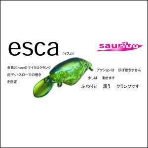 サウリブ　シャースP Fe t-Route Limited サウリブ シャースフィー シリーズ / sauribu Shaath Fe