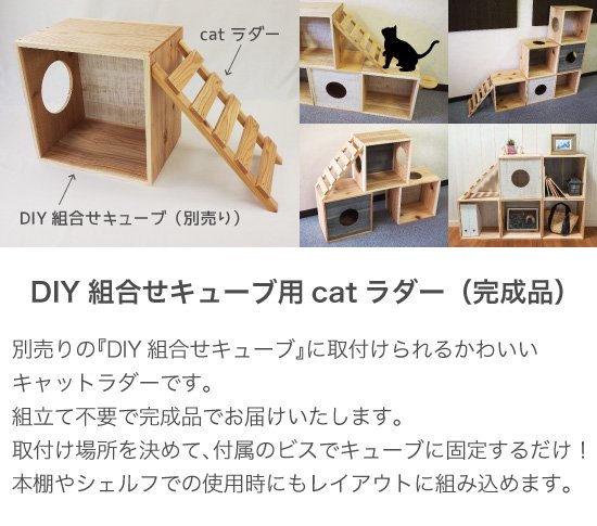 ラダー DIY組合せキューブ 用 (接続用25mmビス2本付き） キャット