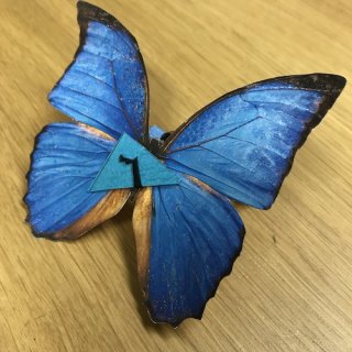 幸せの青い蝶（完成品）