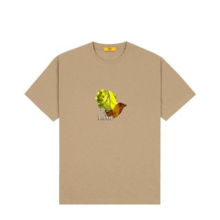 <img class='new_mark_img1' src='https://img.shop-pro.jp/img/new/icons1.gif' style='border:none;display:inline;margin:0px;padding:0px;width:auto;' />Dime<br>SWAMP T-SHIRT<br>SAND