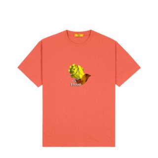 <img class='new_mark_img1' src='https://img.shop-pro.jp/img/new/icons1.gif' style='border:none;display:inline;margin:0px;padding:0px;width:auto;' />Dime<br>SWAMP T-SHIRT<br>PEPPER