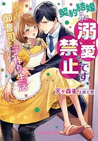 ガブリエラ文庫プラス 契約結婚につき溺愛禁止です エリート御曹司と子作り生活 ガブリエラ文庫プラス 契約結婚につき溺愛禁止です エリート御曹司と子作り生活
