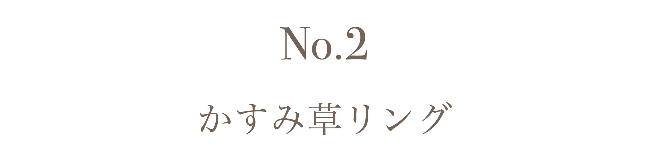 No.2かすみ草