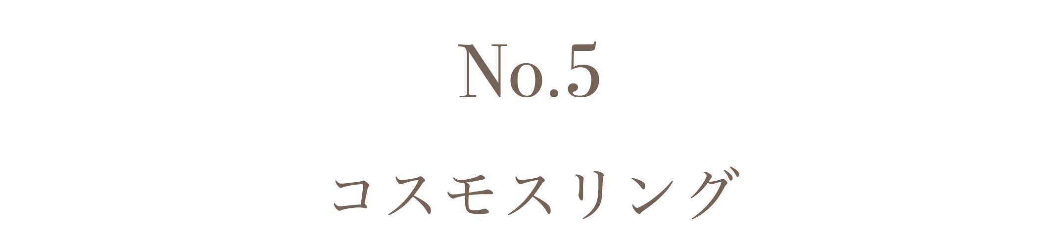 No.5コスモス
