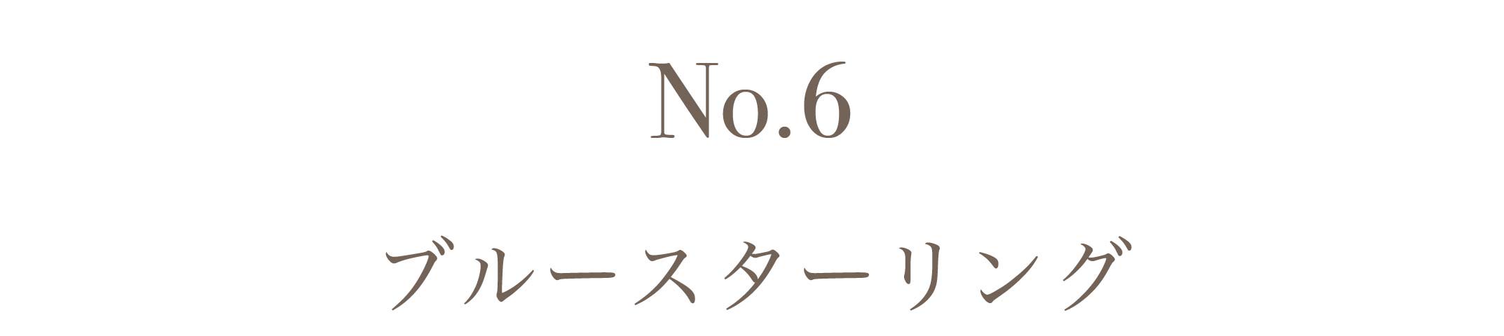 No.6ブルースター