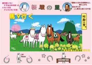 桜駿の里 こし餡の三石羊羹5個セット - 創業明治四十三年 元祖