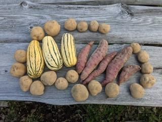 ̣Хåȡʤ㤬⡢Ĥޤ⡢ܤ