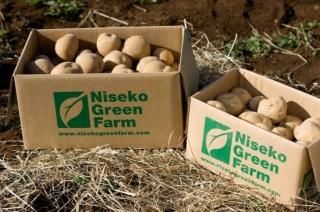 ۥåۥ̤ϤΤ㤬ͭ򥭥10Kg