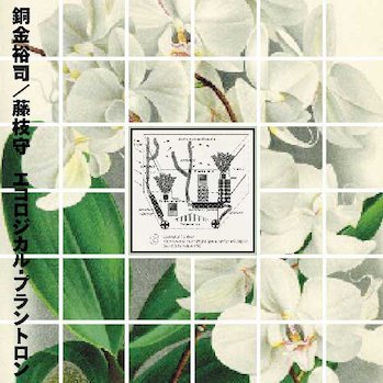 銅金裕司／藤枝守/エコロジカル・プラントロン  LP